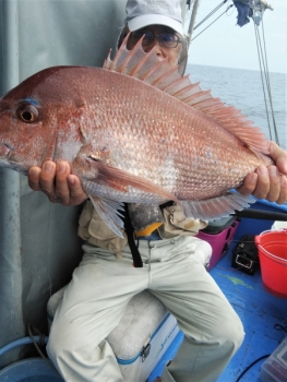 鯛紅丸 釣果