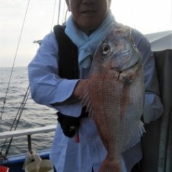鯛紅丸 釣果