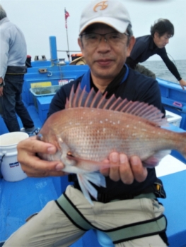 鯛紅丸 釣果