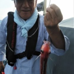 鯛紅丸 釣果