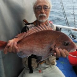 鯛紅丸 釣果