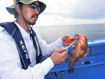 鯛紅丸 釣果