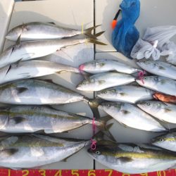 Hit Rush(ヒット ラッシュ） 釣果