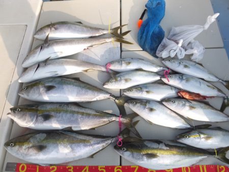 Hit Rush(ヒット ラッシュ） 釣果…