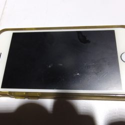 Hit Rush(ヒット ラッシュ) 釣果