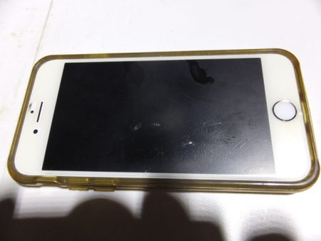 Hit Rush(ヒット ラッシュ) 釣果