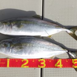 Hit Rush(ヒット ラッシュ） 釣果