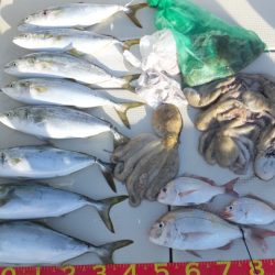 Hit Rush(ヒット ラッシュ） 釣果