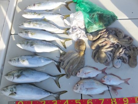 Hit Rush(ヒット ラッシュ） 釣果…