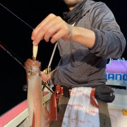 釣船 浦島太郎 釣果