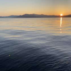 釣船 浦島太郎 釣果
