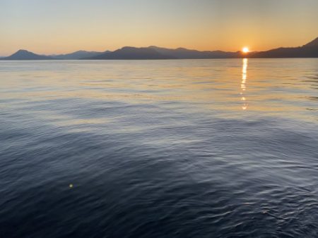 釣船 浦島太郎 釣果