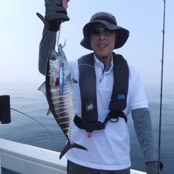 Hit Rush(ヒット ラッシュ) 釣果