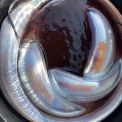 釣船 浦島太郎 釣果