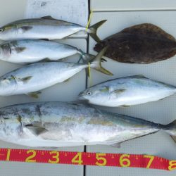 Hit Rush(ヒット ラッシュ） 釣果