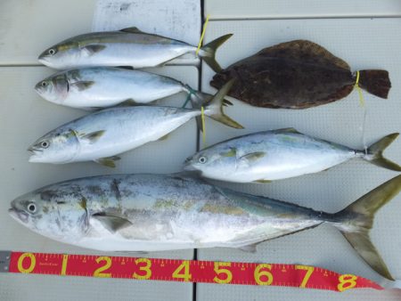 Hit Rush(ヒット ラッシュ） 釣果