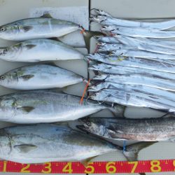 Hit Rush(ヒット ラッシュ） 釣果