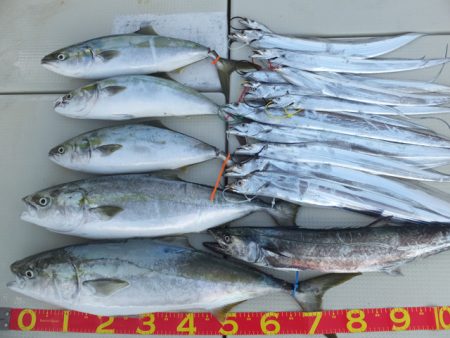 Hit Rush(ヒット ラッシュ） 釣果…