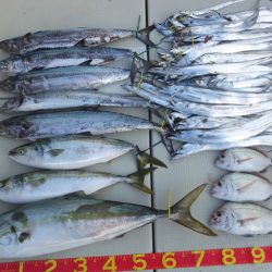 Hit Rush(ヒット ラッシュ) 釣果