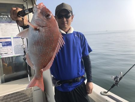 sea boss シーボス 釣果