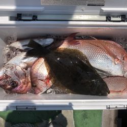 sea boss シーボス 釣果