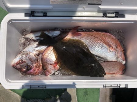 sea boss シーボス 釣果