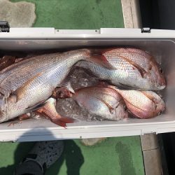 sea boss シーボス 釣果