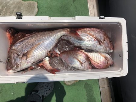 sea boss シーボス 釣果