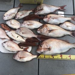 sea boss シーボス 釣果