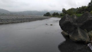 大井川(大井川(非)漁業協同組合) 釣果