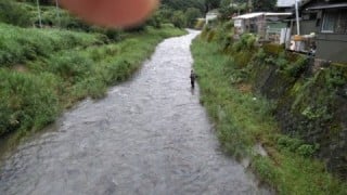 大井川(大井川(非)漁業協同組合) 釣果