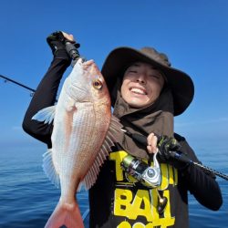 ブルーピア 釣果