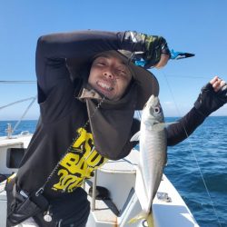 ブルーピア 釣果