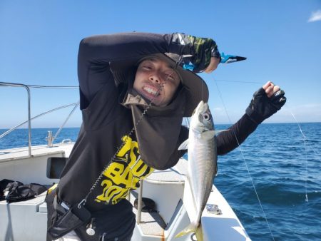 ブルーピア 釣果