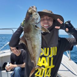 ブルーピア 釣果