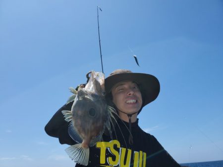 ブルーピア 釣果