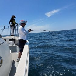 ブルーピア 釣果