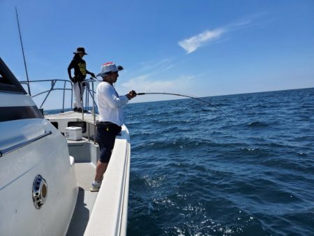 ブルーピア 釣果