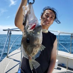 ブルーピア 釣果