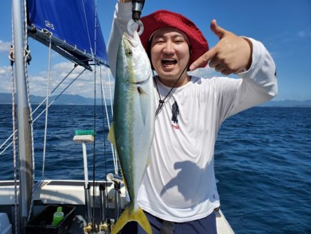 ブルーピア 釣果