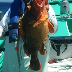 モンロー号 釣果