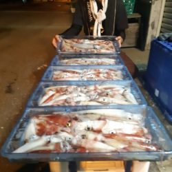 飛燕さくら丸 釣果