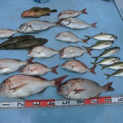 十八宝洋丸 釣果