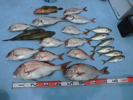 十八宝洋丸 釣果