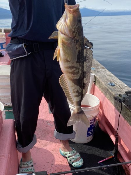 第八平成丸 釣果