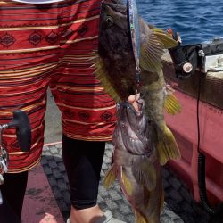 第八平成丸 釣果