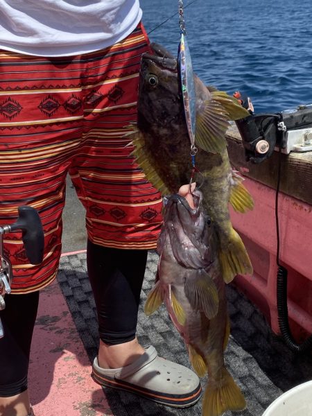 第八平成丸 釣果