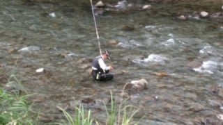 大井川（大井川(非)漁業協同組合） 釣果