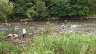 大井川(大井川(非)漁業協同組合) 釣果