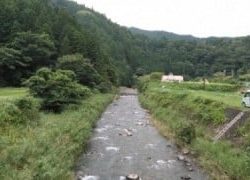 大井川(大井川(非)漁業協同組合) 釣果